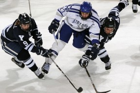 国际拳击锦标赛激烈对决，国际拳击规则